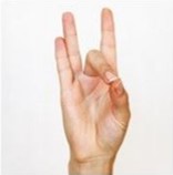 shuni mudra