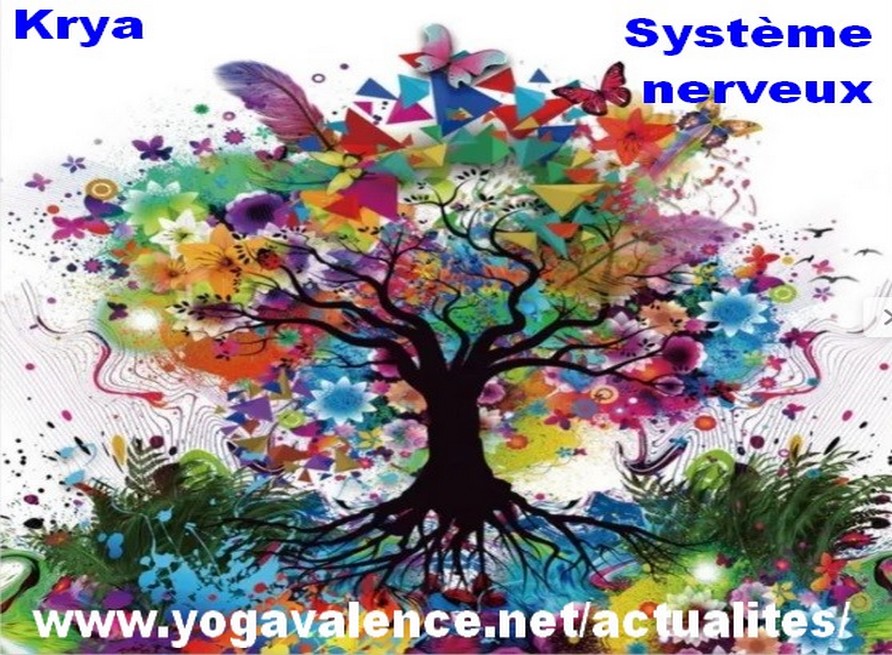 Krya Kundalini yoga Système nerveux
