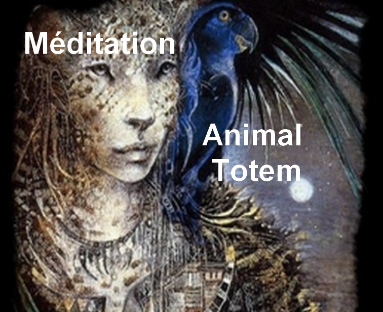 méditation active animal totem