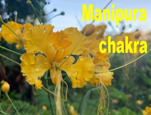 manipura chakra