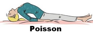 posture poisson