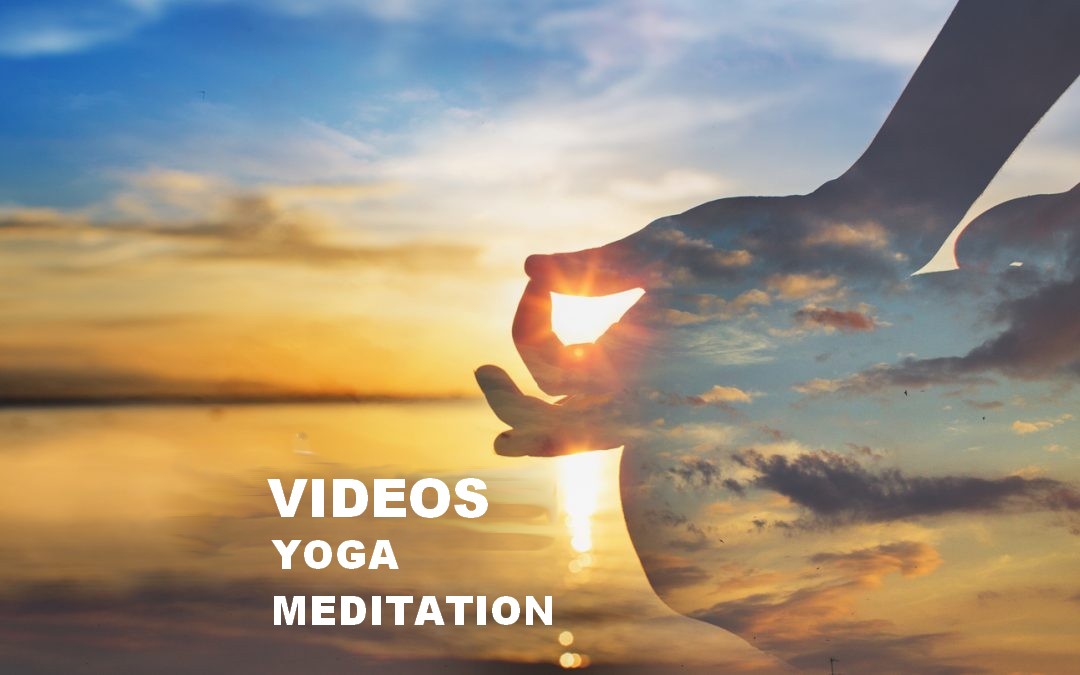 Vidéos yoga valence